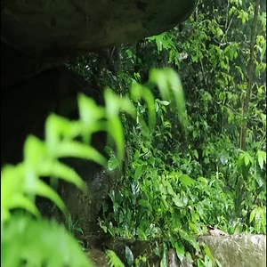 348K views · 9.3K reactions | Chisel a Giant Rock To Build a Warm Shelter in the Rain Forest #bushcraft #building #camp #camping #survival #shelter #wildlife #outdoors #outdoor #viral #foryou | Camping videos Survival | Facebook