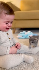 84K views · 3K reactions | Kitty Hugs Crying Baby 櫓 Heart-Melting...