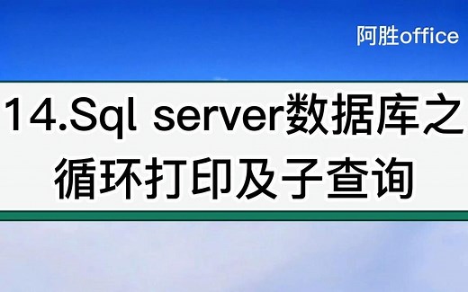 14.Sql server数据库之循环打印及子查询