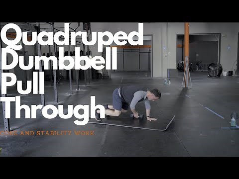 Quadruped DB Pull Through