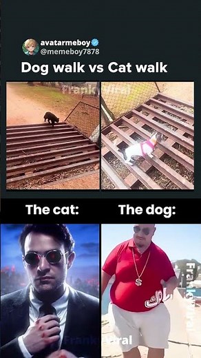 Cat vs dog walk #tweening