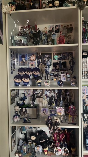 Reorganizing My Anime Collection: Ideas Needed!