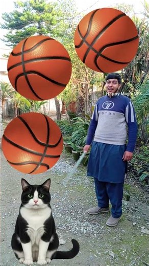 Rounding Football to cat,zebra,horse & duck | Animals names magic video