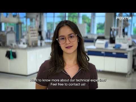 Beyond the API: How Excipients Drive Pharmaceutical Performance | Indovinya Experts