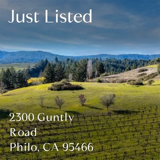 A place to build your wine country legacy. Over 20 acres in Anderson Valley, featuring established vineyard plantings, a homesite with PG&E in place, and sweeping views just minutes from Philo. Surrounded by acclaimed wineries, local food culture, and the natural beauty that defines this special region. 👉 View full details and photos: https://monicabugica.com/properties/2300-guntley-road-philo-ca-95466-325102908 #AndersonValley #PhiloCA #VineyardProperty #WineCountryRealEstate #CaliforniaVineya