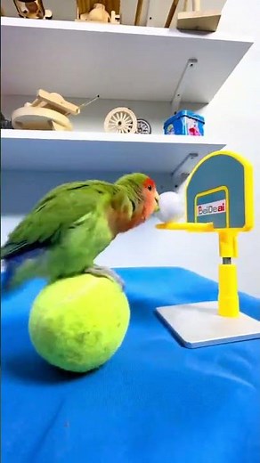 Reveal Your Hidden Talent: Show What You've Got