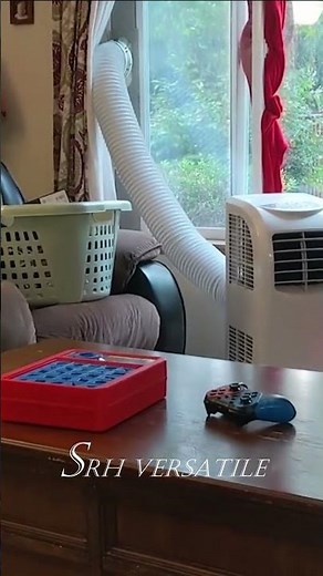 Funny cat videos #shorts 47 | cute cats | try not to laugh | cat videos compilation