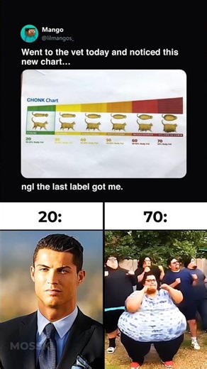 The Last Body Type 🗣️🐱