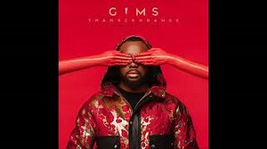 GIMS - Le prix à payer