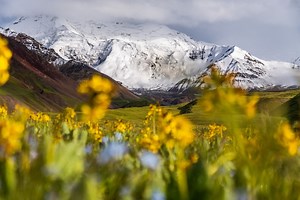 Kirgistan Reisen ▲ Im Land der Himmelsberge