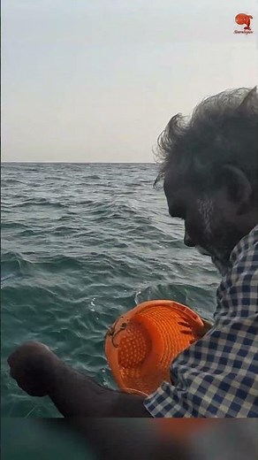 Back to Back Vermillion Snapper in the Sea #fishing #fishingvideo #fishingtime