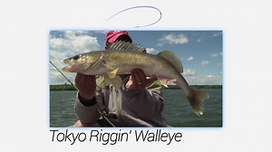 4.7K views · 215 reactions | On this week's NEW Angling Edge episode, Jeremy Smith and James Lindner take a newly blooming bass presentation and apply it to walleye in Spring! The TOKYO RIG! For information exact air times and networks in your area, follow this link: https://anglingedge.com/tv-schedule/ | Lindner's Angling Edge | Facebook