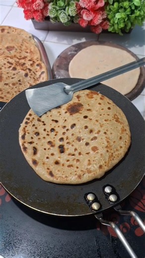 Paratha vs roti #shortsfeed #funny #ytshorts #comedy #viral #stufedparatha #alooparatha #tips #food