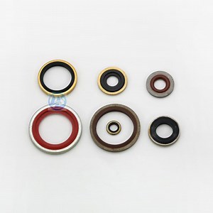 [Hot Item] Standard Rubber Steel Self-Centering Bonded Seal Flat Washer