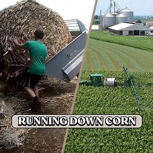 1.2M views · 35K reactions | Harvesting Hay & Corn Work *Field Update* | The 10th Generation Dairyman | Facebook