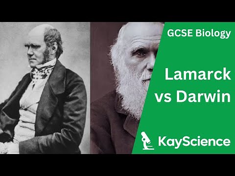 GCSE Biology – Lamarck vs Darwin: Evolution and Natural Selection