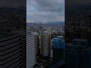 福岡タワーからの眺め#福岡タワー#福岡市