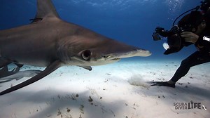 904K views · 2.8K reactions | ** Trip info:...