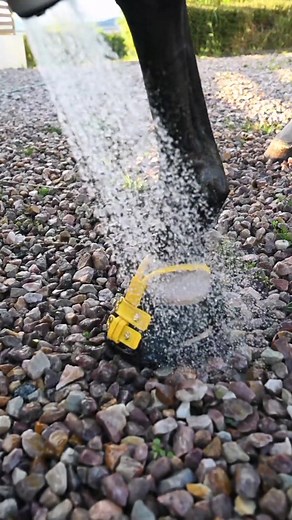 Easy Cleaning Tips for Scoot Boots