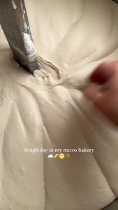 Last week’s dough day 🫶🏽 I’ve been capping my dough days at 80 loaves lately which is two rounds in my mixer. I personally don’t have a desire to grow my micro bakery at this time. I feel at peace with where I’m at 😌. Maybe that will change as my children get older, but right now this feels sustainable. Linen apron from @notperfectlinen 🤍 #microbakery #cottagebakery #homebakery #sustainability #sahm #slowliving | Bread by day