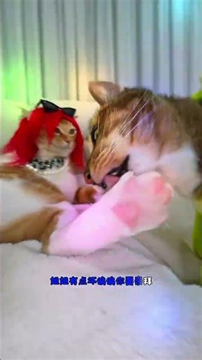 so aggressive funny video 😂🤣😂🤣 #funny #shorts #funny