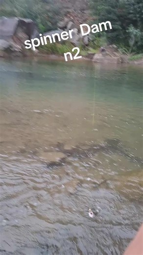 nuevo modelo en tienda de spinner Dam en n2 pesca con devolucion. tienda Molina, 56976436858 #molinachile🇨🇱 #pescachile🇨🇱🇨🇱🇨🇱 #maulechile🇨🇱