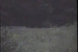 Analyzed and reported to be one of the best captures at Gettysburg by tourists | Paranormal Investigations
