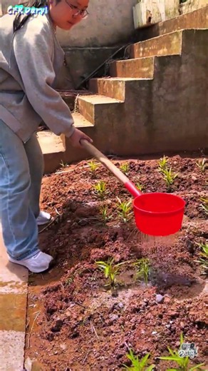 ¡Ingenio Agrícola! Regadera Casera con un Cucharón para Regar Cultivos 💧