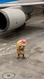 3.8K views · 7.5K reactions | ANAちゃんの飛行機がいつも綺麗な理由知ってますかっ？☆ ちぃたん☆がピッカピカにしてるからですっ☆ちぃたん☆ですっ☆ How to wash an airplane. | Chiitan | Facebook