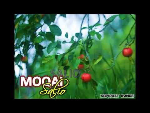 Moqai- Salio