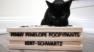 I built a classy pet feeder on a budget!🐾