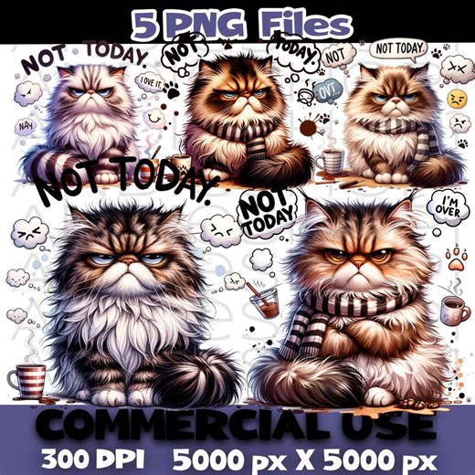 Grumpy Cat Not Today PNG Bundle, Sarcastic Cat Clipart, Sublimation Design Files