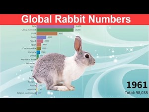 Rabbits and Hares Population In The World By Country || Global Rabbit Numbers