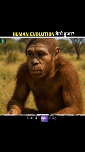 The Crazy Journey of Human Evolution 🌍 | #shorts #trending #facts