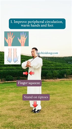 33K views · 1.3K reactions | Learning Tai Chi with Master Zidong #chineseculture #taichi #practice #healthy #Gym #exercise | TaiChi Show | Facebook