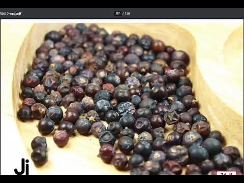 Knowledge 6 Lesson 7 A Native American Alphabet