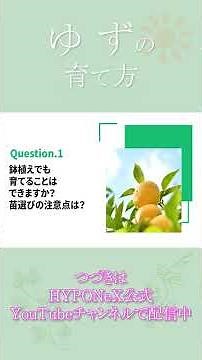 ☘153：ゆずの育て方｜青ゆずは収穫するの？植えつけの注意点や、剪定などの作業もご紹介 【PlantiaQ&A】#shorts