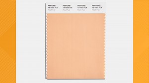 Pantone's color of the year for 2024 revealed