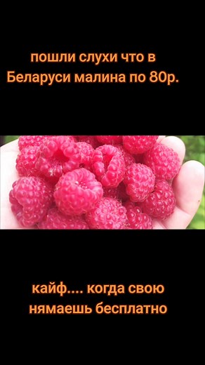 #беларусь #малина