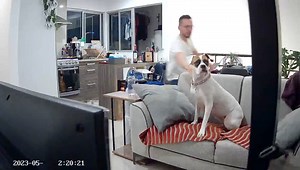 To license this content please click here: https://www.jukinmedia.com/licensing/view/1419901?utm_source=RMsocialpost&utm_medium=RMsocialpost | Jukin Copyright Management | Facebook