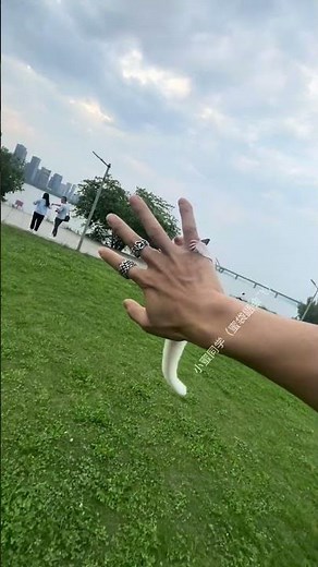 Flying Squirrel Handler Training # Reverse Flying Handler