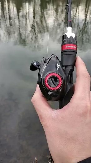 KastKing Zephyr BFS Reel Casting on Zero Brakes using Sharky 3 Dynamic Braking Plate #shorts