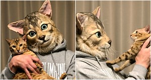 You Can Now Turn Your Cat’s Head Into a Mask For $2,700