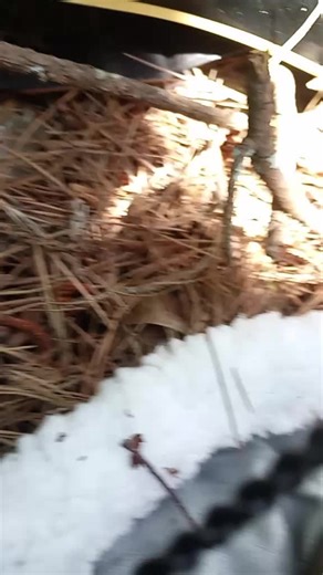 we poop buddies 💩