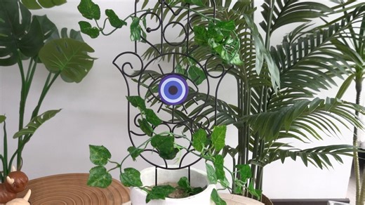 Watch Evil Eye Plant Trellis - L on Amazon Live