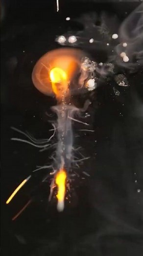 Nuclear Reactor Coolant #nuclear #facts