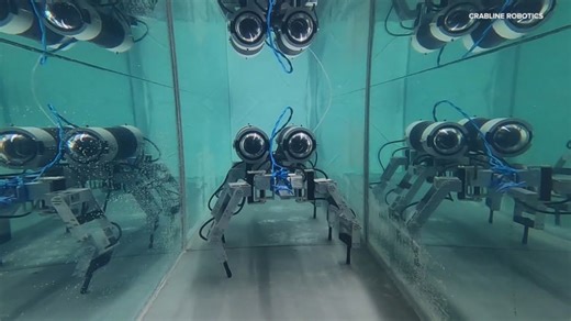 CrabLine Robotics' innovative crab-like robots gain attention at CES: Mission possible