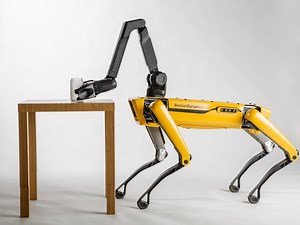 Would You Buy A Robot Dog Named Spot?