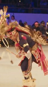 148K views · 10K reactions | Chicken Dance | PowWows.com | Facebook