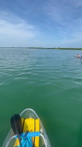 5.5K views · 109 reactions | Dolphin watching in Shell Key  join us for a paddle to see these amazing creatures in their natural habitat! | Get Up And Go Kayaking | Facebook